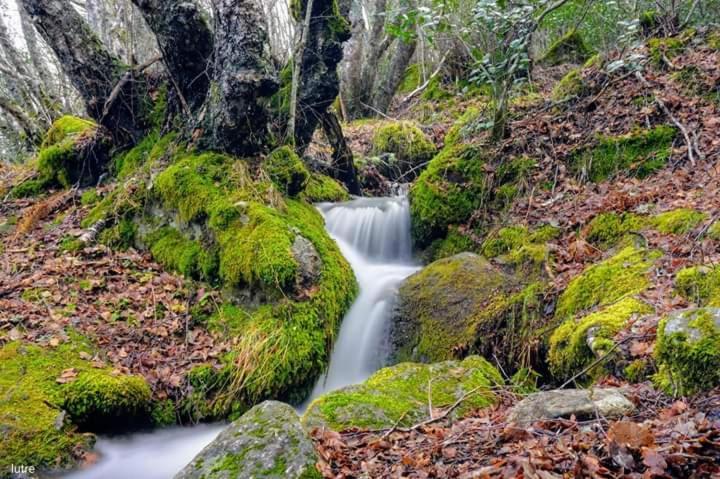 San Ciprián Casa Rural Las Nieves 빌라 외부 사진